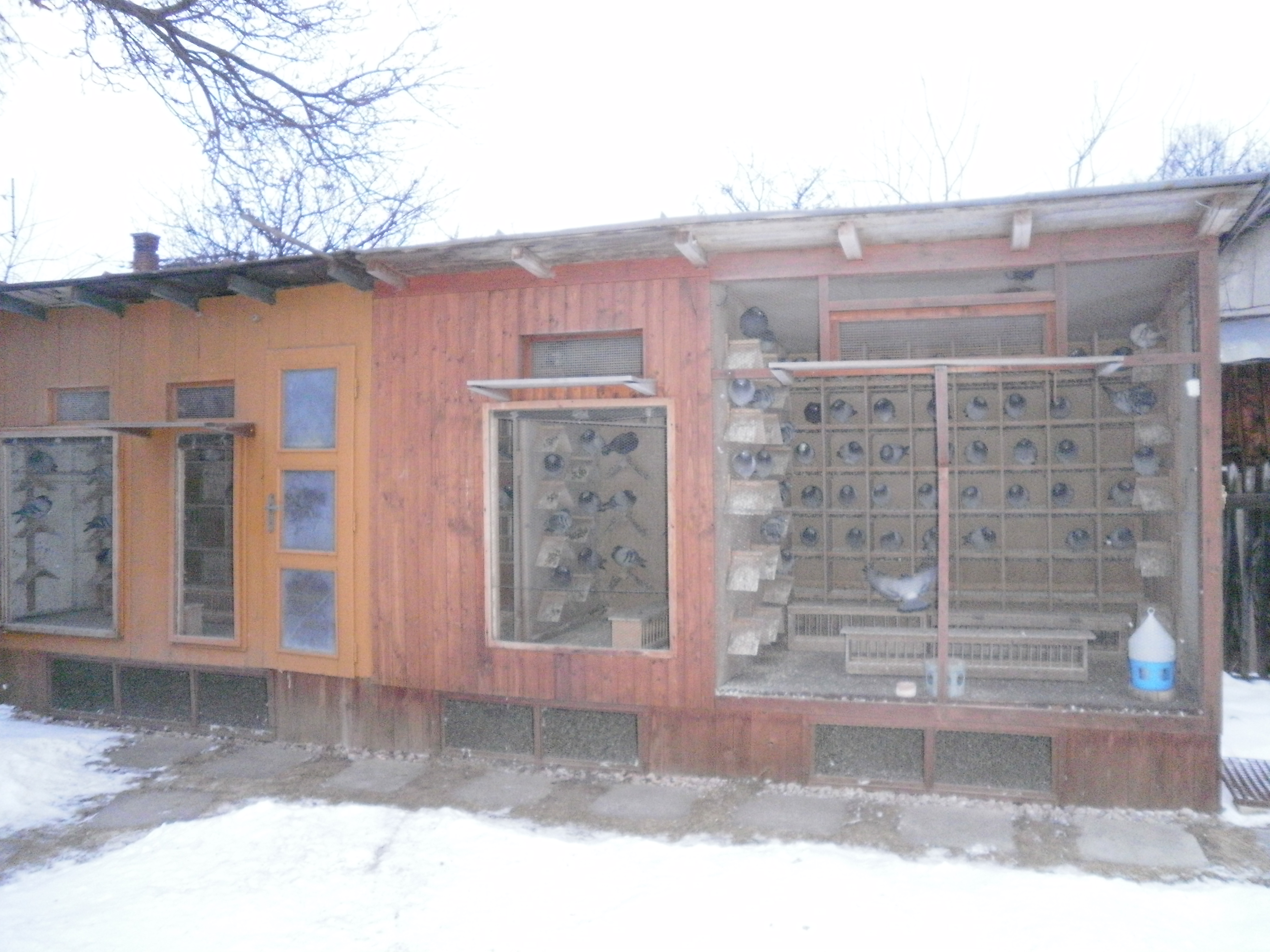 P2080121.JPG