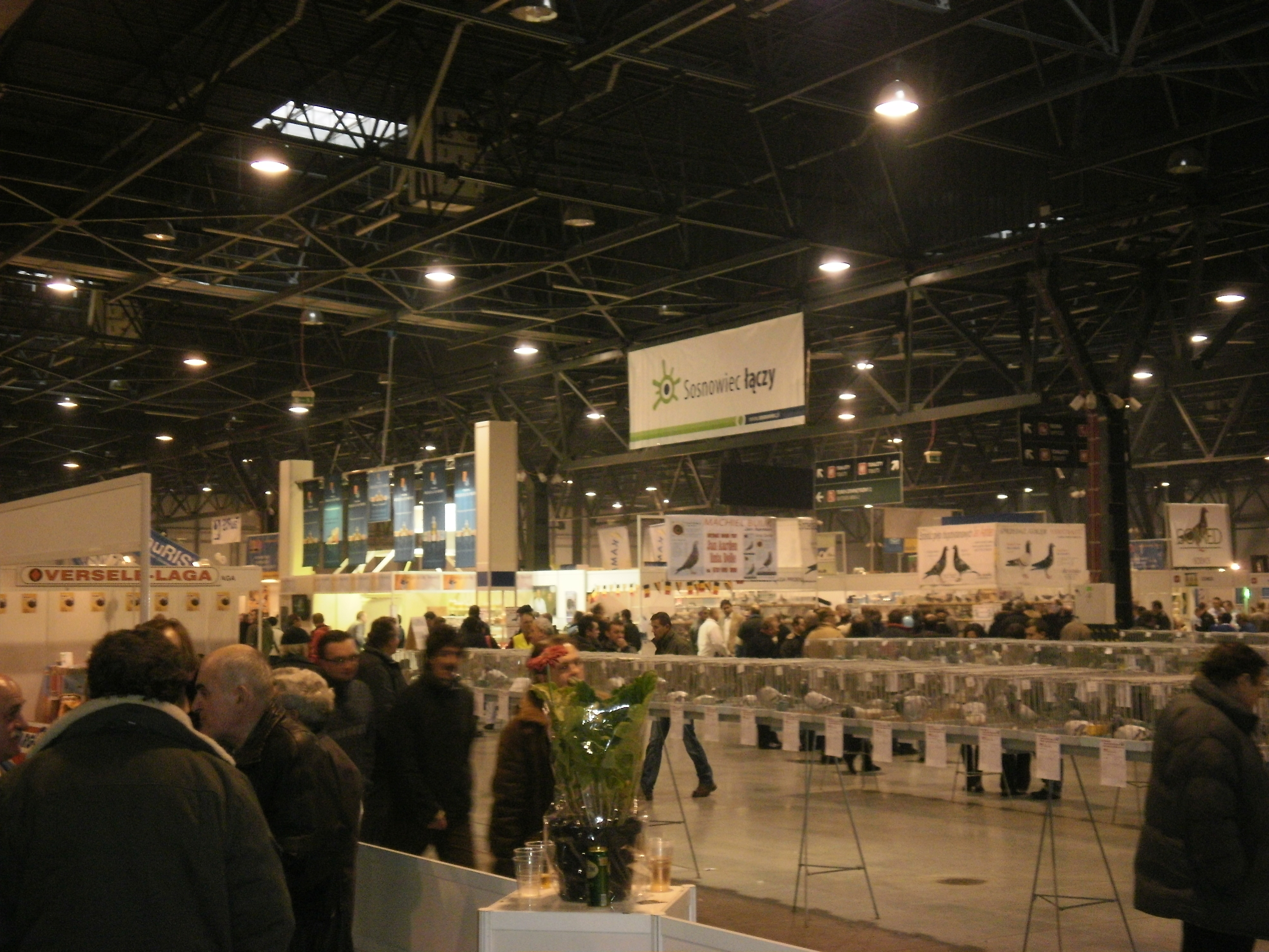 P1300077.JPG